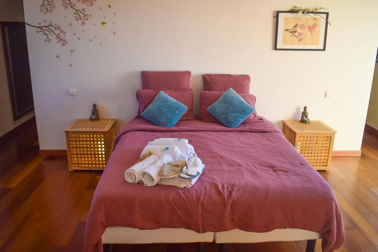 Couette-café La Grande Oasis - B&B et Spa Grazac